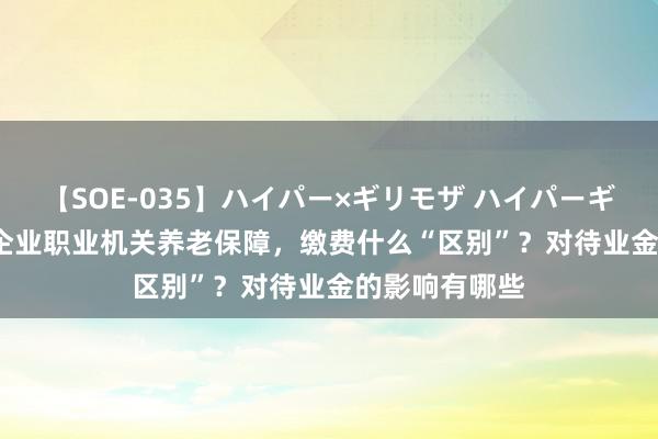 【SOE-035】ハイパー×ギリモザ ハイパーギリモザ Ami 企业职业机关养老保障，缴费什么“区别”？对待业金的影响有哪些