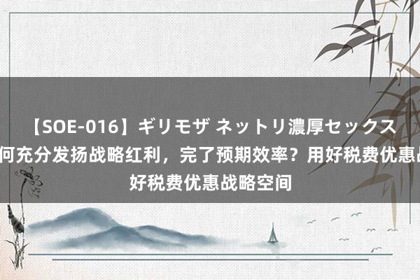 【SOE-016】ギリモザ ネットリ濃厚セックス Ami 奈何充分发扬战略红利，完了预期效率？用好税费优惠战略空间