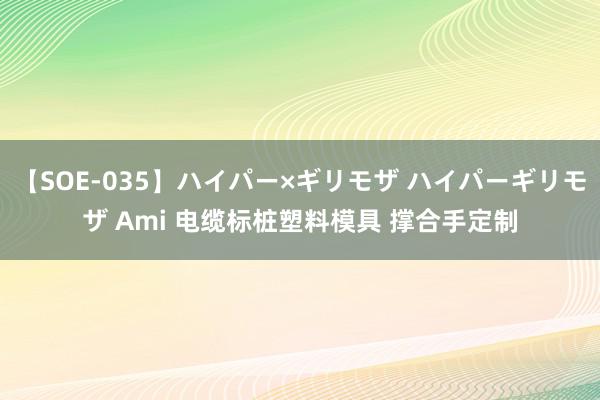 【SOE-035】ハイパー×ギリモザ ハイパーギリモザ Ami 电缆标桩塑料模具 撑合手定制