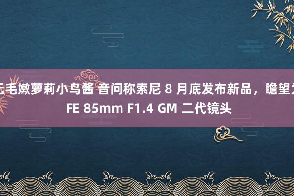 无毛嫩萝莉小鸟酱 音问称索尼 8 月底发布新品，瞻望为 FE 85mm F1.4 GM 二代镜头