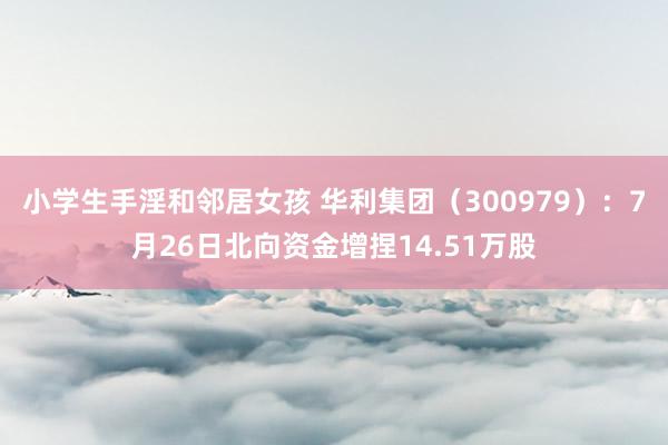 小学生手淫和邻居女孩 华利集团（300979）：7月26日北向资金增捏14.51万股