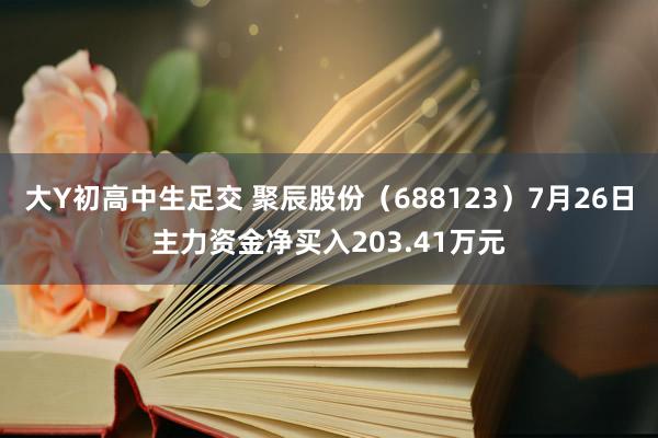 大Y初高中生足交 聚辰股份（688123）7月26日主力资金净买入203.41万元