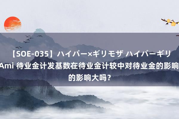 【SOE-035】ハイパー×ギリモザ ハイパーギリモザ Ami 待业金计发基数在待业金计较中对待业金的影响大吗？