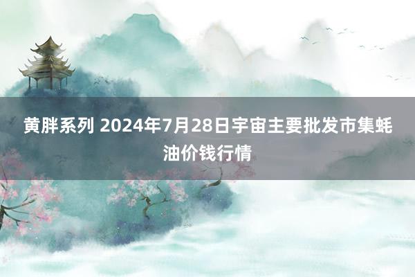 黄胖系列 2024年7月28日宇宙主要批发市集蚝油价钱行情