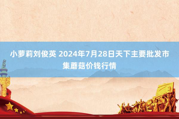 小萝莉刘俊英 2024年7月28日天下主要批发市集蘑菇价钱行情