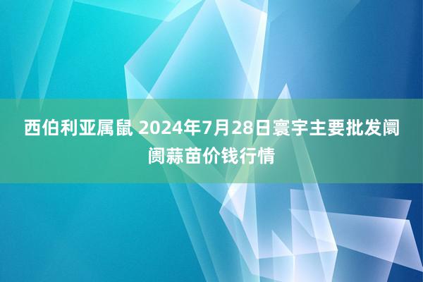 西伯利亚属鼠 2024年7月28日寰宇主要批发阛阓蒜苗价钱行情