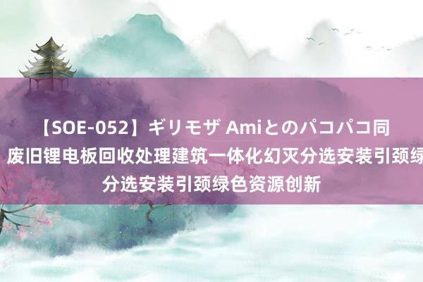 【SOE-052】ギリモザ Amiとのパコパコ同棲生活 Ami 废旧锂电板回收处理建筑一体化幻灭分选安装引颈绿色资源创新