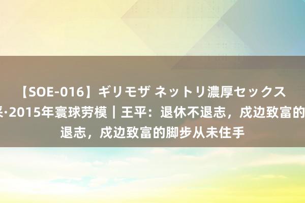 【SOE-016】ギリモザ ネットリ濃厚セックス Ami 劳模风采·2015年寰球劳模｜王平：退休不退志，戍边致富的脚步从未住手