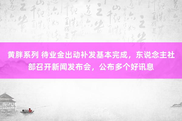 黄胖系列 待业金出动补发基本完成，东说念主社部召开新闻发布会，公布多个好讯息