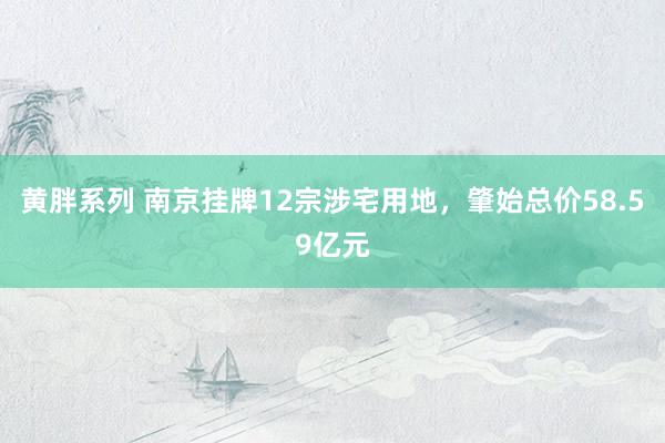 黄胖系列 南京挂牌12宗涉宅用地，肇始总价58.59亿元