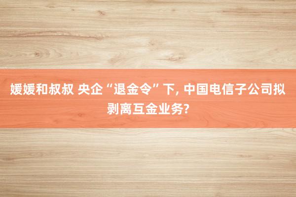 媛媛和叔叔 央企“退金令”下, 中国电信子公司拟剥离互金业务?