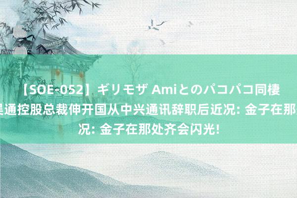 【SOE-052】ギリモザ Amiとのパコパコ同棲生活 Ami 吴通控股总裁伸开国从中兴通讯辞职后近况: 金子在那处齐会闪光!