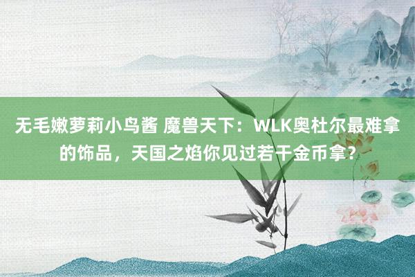 无毛嫩萝莉小鸟酱 魔兽天下：WLK奥杜尔最难拿的饰品，天国之焰你见过若干金币拿？