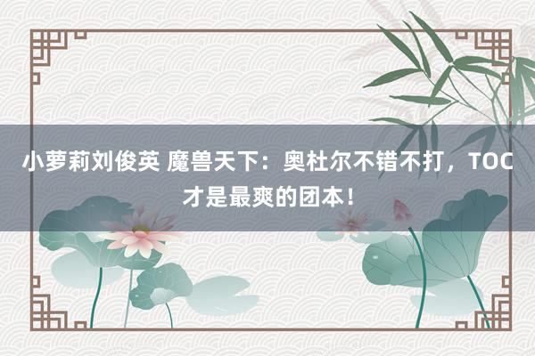 小萝莉刘俊英 魔兽天下：奥杜尔不错不打，TOC才是最爽的团本！