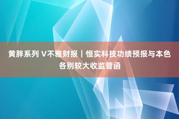 黄胖系列 V不雅财报｜恒实科技功绩预报与本色各别较大收监管函