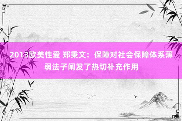 2013欧美性爱 郑秉文：保障对社会保障体系薄弱法子阐发了热切补充作用