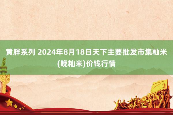 黄胖系列 2024年8月18日天下主要批发市集籼米(晚籼米)价钱行情