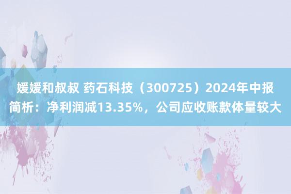 媛媛和叔叔 药石科技（300725）2024年中报简析：净利润减13.35%，公司应收账款体量较大