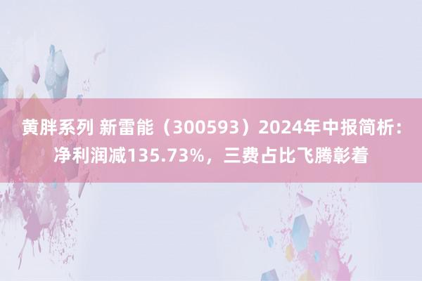 黄胖系列 新雷能（300593）2024年中报简析：净利润减135.73%，三费占比飞腾彰着