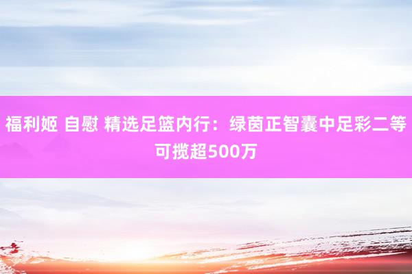 福利姬 自慰 精选足篮内行：绿茵正智囊中足彩二等可揽超500万