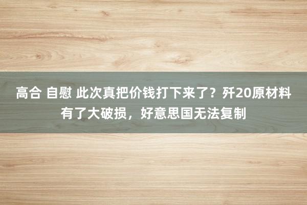 高合 自慰 此次真把价钱打下来了？歼20原材料有了大破损，好意思国无法复制