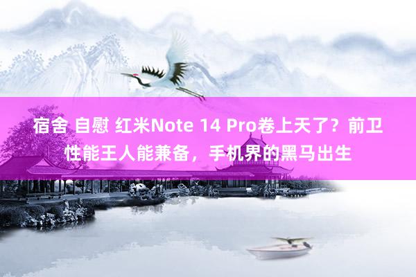 宿舍 自慰 红米Note 14 Pro卷上天了？前卫性能王人能兼备，手机界的黑马出生