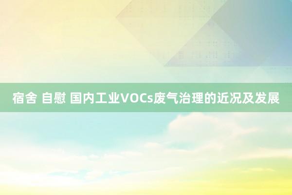 宿舍 自慰 国内工业VOCs废气治理的近况及发展