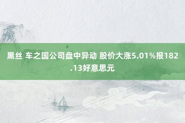 黑丝 车之国公司盘中异动 股价大涨5.01%报182.13好意思元