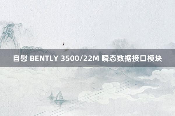 自慰 BENTLY 3500/22M 瞬态数据接口模块