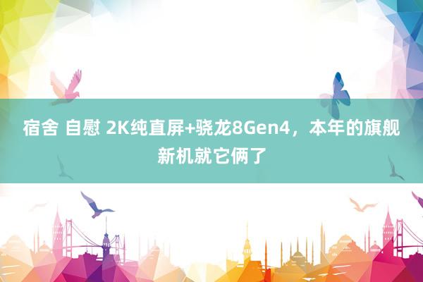 宿舍 自慰 2K纯直屏+骁龙8Gen4，本年的旗舰新机就它俩了