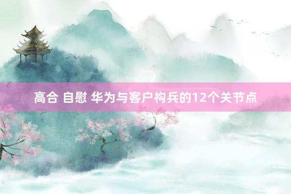 高合 自慰 华为与客户构兵的12个关节点