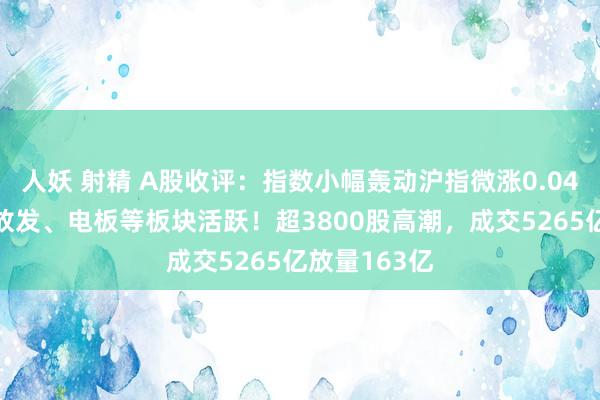 人妖 射精 A股收评：指数小幅轰动沪指微涨0.04%，西部绽放发、电板等板块活跃！超3800股高潮，成交5265亿放量163亿